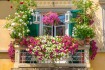Riolo-in-fiore-concorso-balconi-fioriti-6-edizione