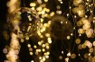 Natale-di-luci-e-in-fiore-a-Riolo-concorso-luci-e-decorazioni-natalizie-piu-belle-l-albero-piu-bello-e-la-vetrina-piu-bella